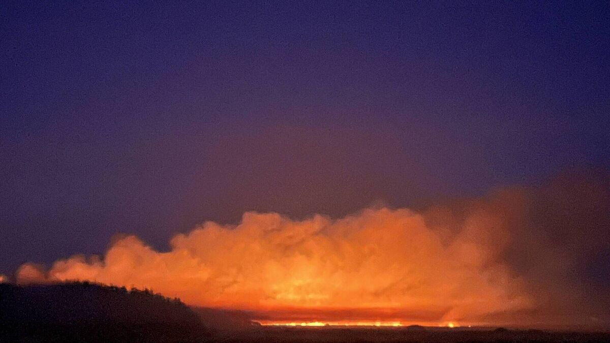 Coillte to assist gardaí investigating West Roscommon wildfire