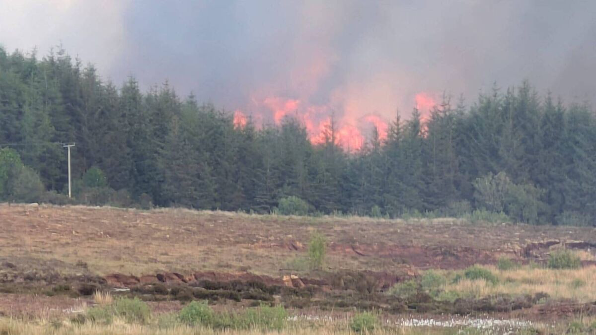 Garda investigation underway into West Roscommon fire