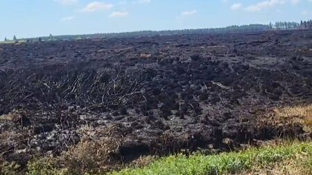 Watch: West Roscommon landscape deeply scarred by worst Roscommon wildfire in living memory
