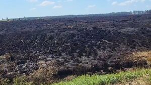 Watch: West Roscommon landscape deeply scarred by worst Roscommon wildfire in living memory