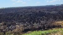 Watch: West Roscommon landscape deeply scarred by worst Roscommon wildfire in living memory