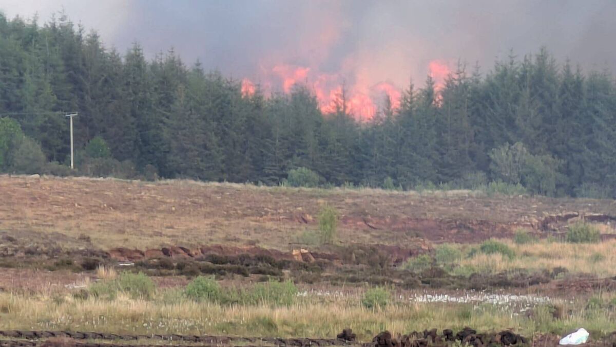 Public meeting to discuss aftermath of West Roscommon wildfires
