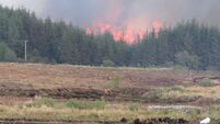 Public meeting to discuss aftermath of West Roscommon wildfires