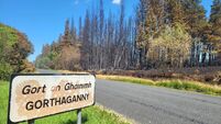 Watch: Local community activist outlines damage inflicted by West Roscommon wildfires on natural environment