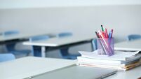 County Roscommon school becomes 'Champion School of Sanctuary'