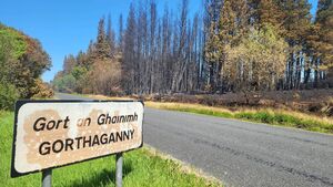 Kerrane raises Gorthaganny wildfires in Dáil with Taoiseach Kerrane raises Gorthaganny wildfires in Dáil with Taoiseach