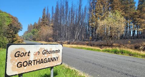 Kerrane raises Gorthaganny wildfires in Dáil with Taoiseach