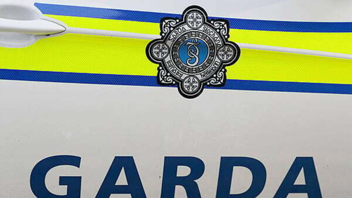 Man dies in farm accident in Co Kildare