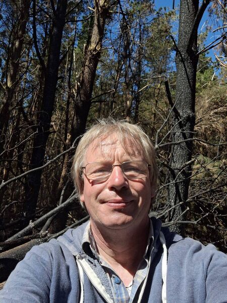 Michael Ryan concedes he will suffer financially as a result of the fire damage to his forestry investment.