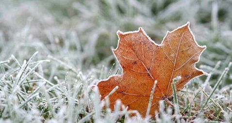 Frosty spring in County Roscommon, despite sunniest on record 