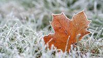 Frosty spring in County Roscommon, despite sunniest on record 