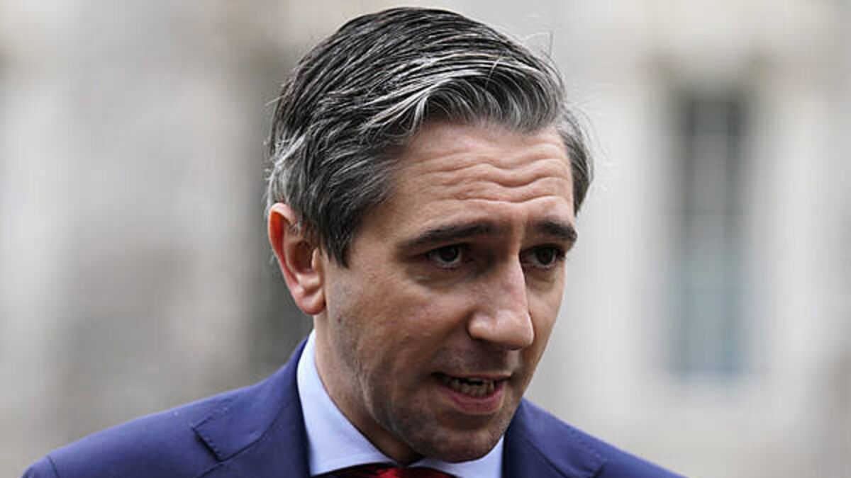 Nursing home documentary should be investigated by gardaí – Tanaiste