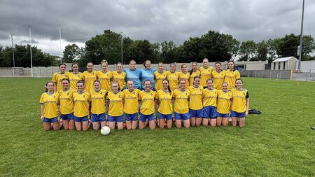 Fermanagh's running game takes Roscommon out of championship equation