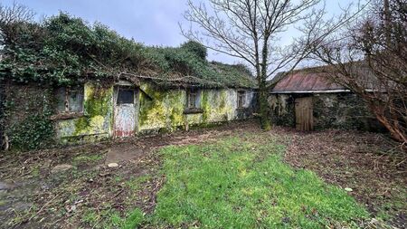 Could you turn a derelict country cottage into your dream home?