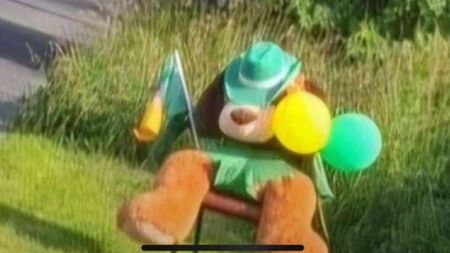 Bring Teddy Home appeal 