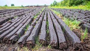 Man refusing to stop extracting peat has no trespass sign with '€100,000 charge'