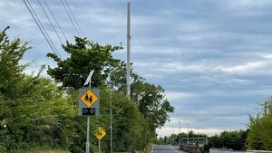 High Court quashes licence for telecommunications pole