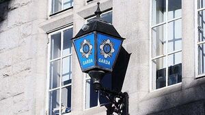 Commissioner wins court appeal over dismissal of garda who had sex in station