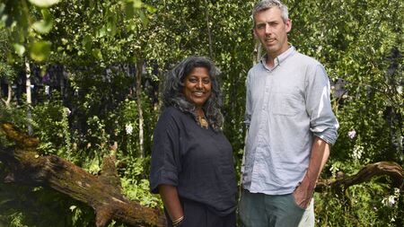 Roscommon roots bear fruit at London Garden Festival