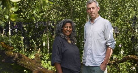 Roscommon roots bear fruit at London Garden Festival 