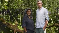 Roscommon roots bear fruit at London Garden Festival 