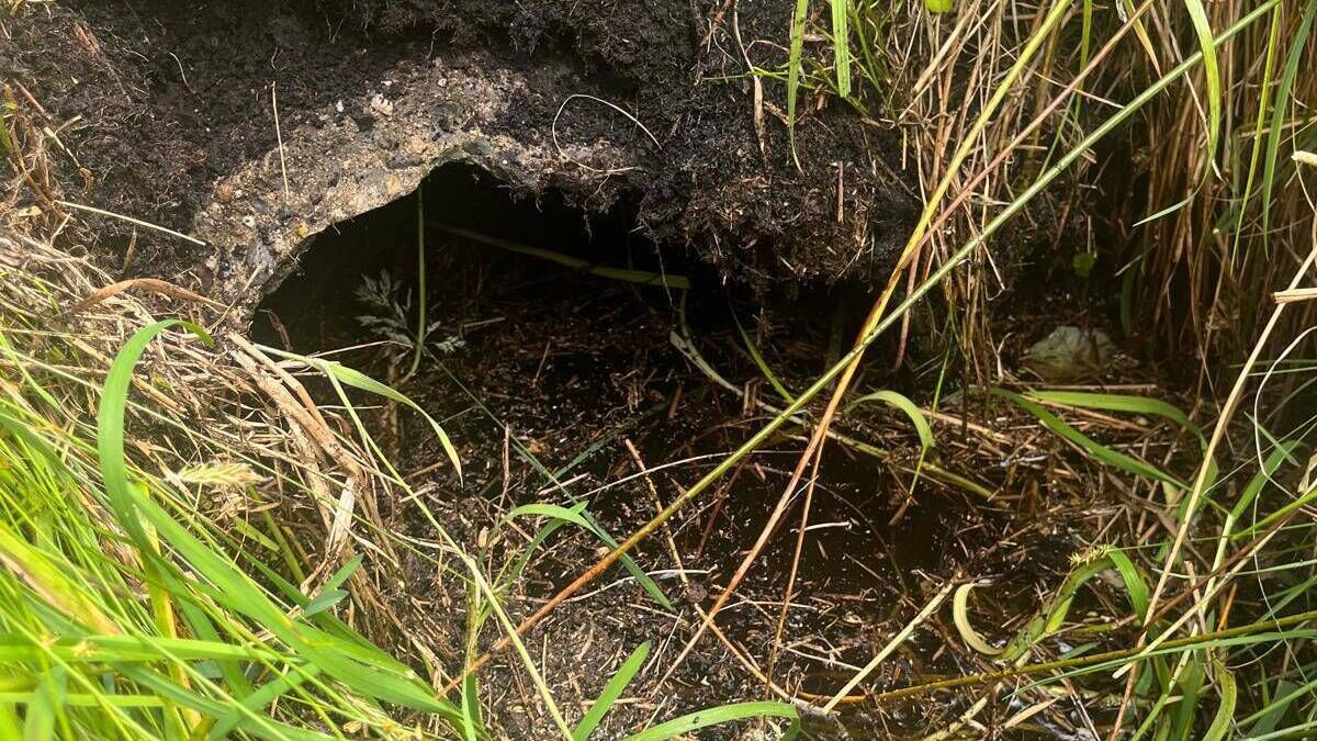 Public meeting in County Roscommon over land flooding fears due to bog rewetting