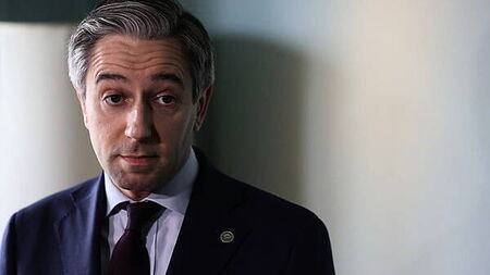 Politics watch: Simon Harris urged to 'think more strategically'