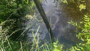 Bord na Móna urged to halt bog rewetting to address flooding fears