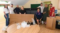 County Roscommon business and GAA club team up to give creche a helping hand