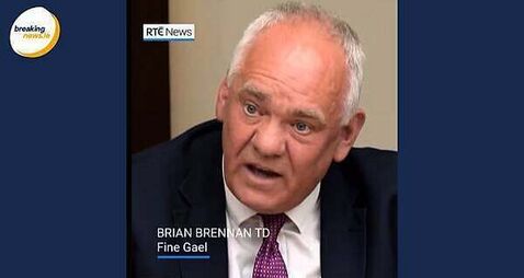 TD who visited Palestinians in Cairo says they 'so much appreciated' Irish solidarity