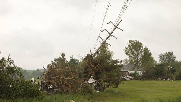 Action needed after falling trees cause more power failures in West Roscommon