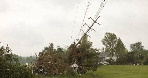 Action needed after falling trees cause more power failures in West Roscommon