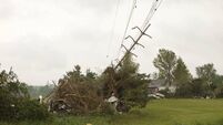 Action needed after falling trees cause more power failures in West Roscommon