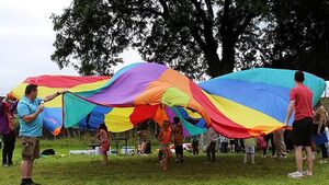 Boyle Summer Show a day out for the entire community