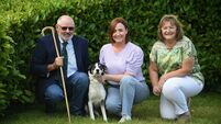 Irish National Sheep Dog Trials get under way in County Roscommon
