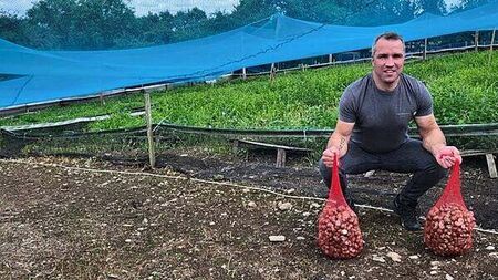 Irish escargots farmer had snail beer produced from snails on his farm