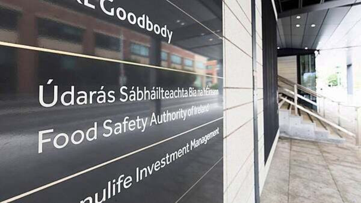Owners of Limerick food premises face imprisonment over hygiene breaches