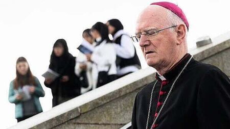 Archbishop of Dublin Dermot Farrell urges public to report any racist attacks they see