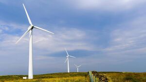 Wind turbines destroying ‘our county and our country’ council told Wind turbines destroying ‘our county and our country’ council told