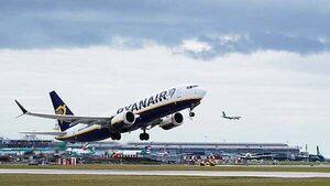 Dublin Airport flights suffer 278 bird strikes despite €600,000 spent on ‘scaring’ measures