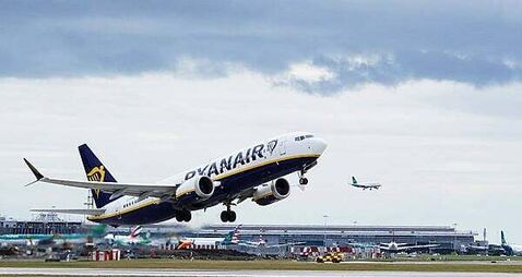 Dublin Airport flights suffer 278 bird strikes despite €600,000 spent on ‘scaring’ measures
