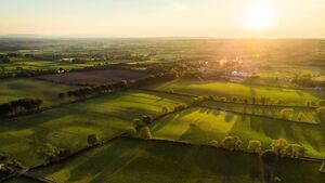 Roscommon County Council seeks lead creative for heritage arts project