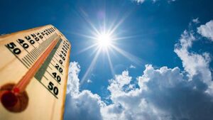 Roscommon records joint highest temperature