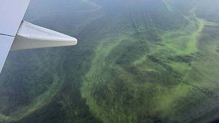 Call for urgent cross-party action to save Lough Neagh