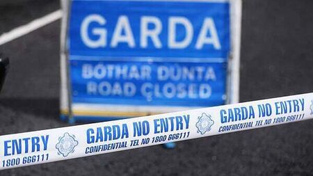 Man (20s) dies after Cork motorway crash