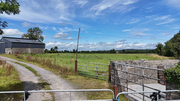 The lands offer all farmers an excellent opportunity to acquire well-situated roadside lands. The lands offer all farmers an excellent opportunity to acquire well-situated roadside lands.