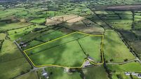29.38 acres of Roscommon lands on the market