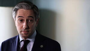 Fine Gael minister backs Harris amid resignation call Fine Gael minister backs Harris amid resignation call