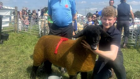 Local Notes: Memorial golf tournament and Palestine solidarity day 