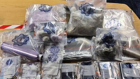 Over €165,000 worth of cannabis and cocaine discovered